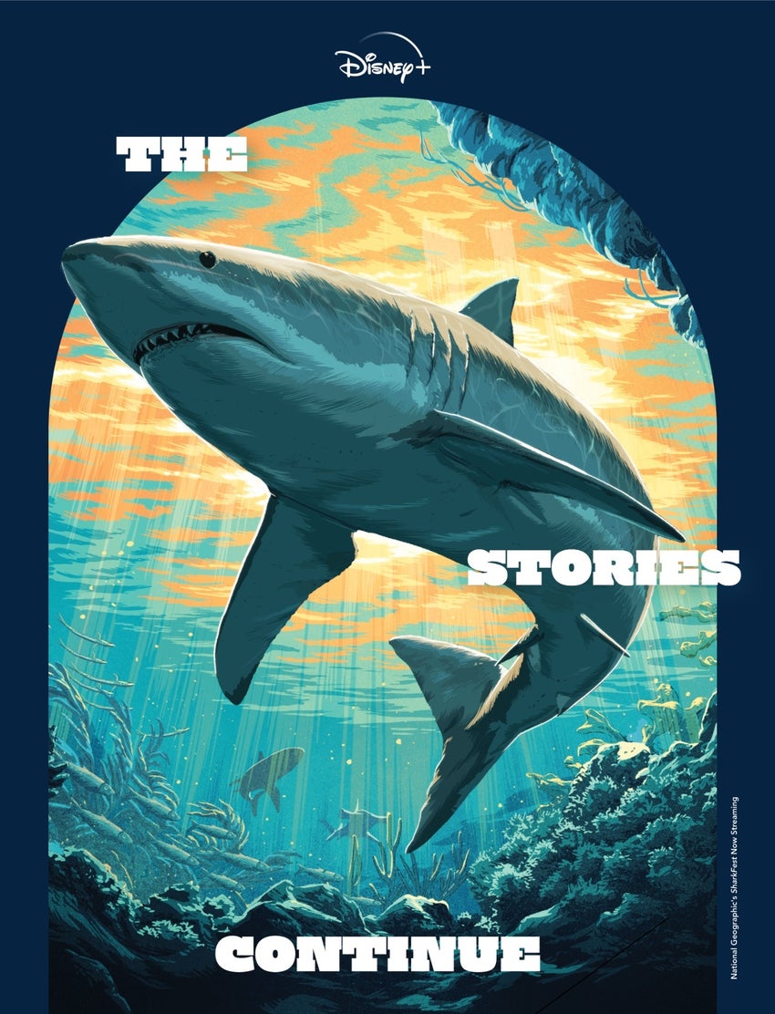 disney plus stories continue magazine sharkfest