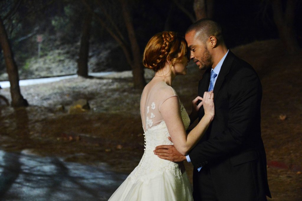 Japril spin-off | Jackson | April | Jesse Williams | Sarah Drew | Grey's Anatomy